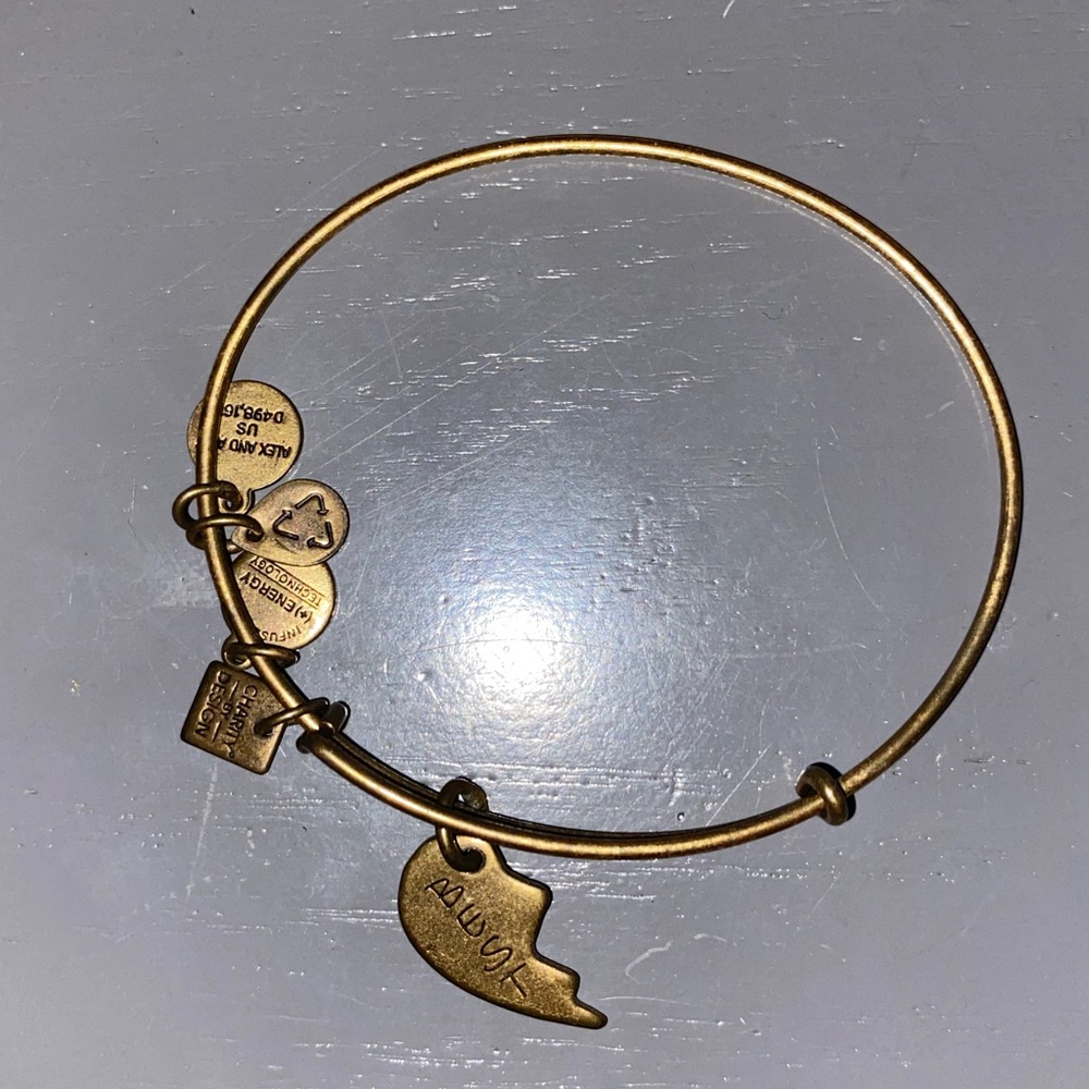 BFF bangle Alex and ani